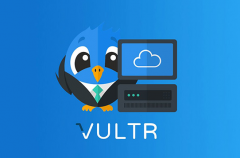 <b>Vultr服务器2020年重磅限时优惠:新用户注册赠送$100美元!</b>
