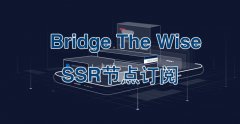 Bridge The Wise V2Ray订阅节点