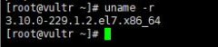Vultr VPS服务器锐速安装教程